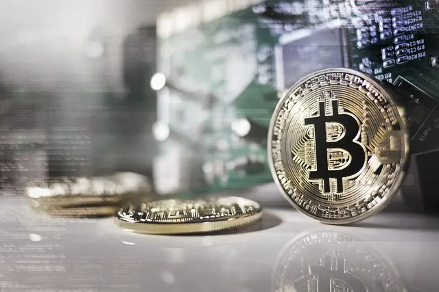 Diving into Cryptocurrency Investments: A Safe Strategy or a Risky Wager?